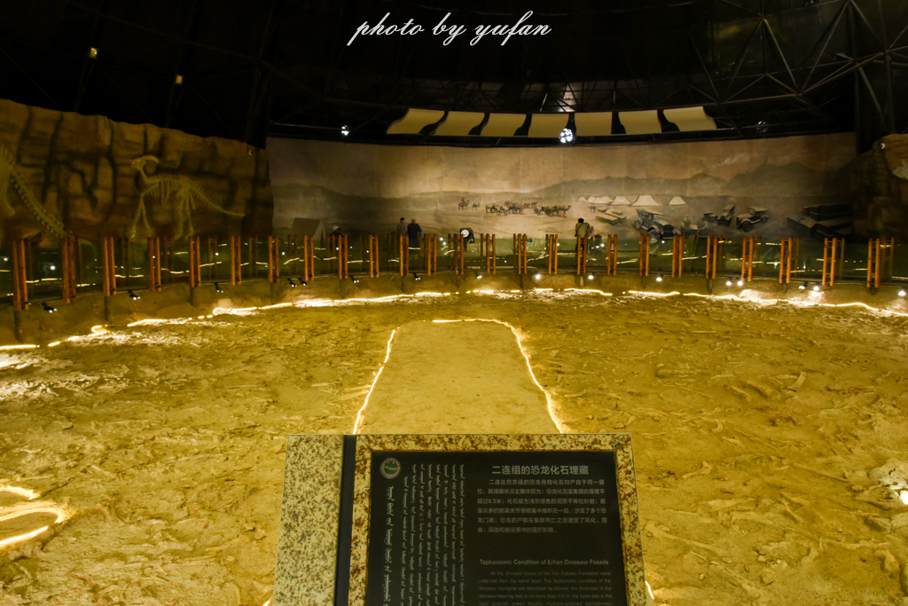中国被称为恐龙之乡的地方在哪,哪里被誉为中国北方恐龙之乡