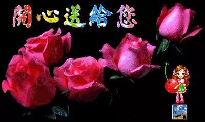 没人爱没人疼又何妨,没人疼没人爱没人宠没人管