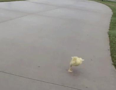 看到菜单上的特价菜香辣蟹一块钱，我点了一份