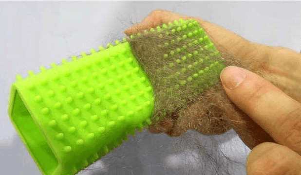 猫咪毛发暗淡无光泽掉毛怎么办,猫咪毛发黄什么时候可以变白