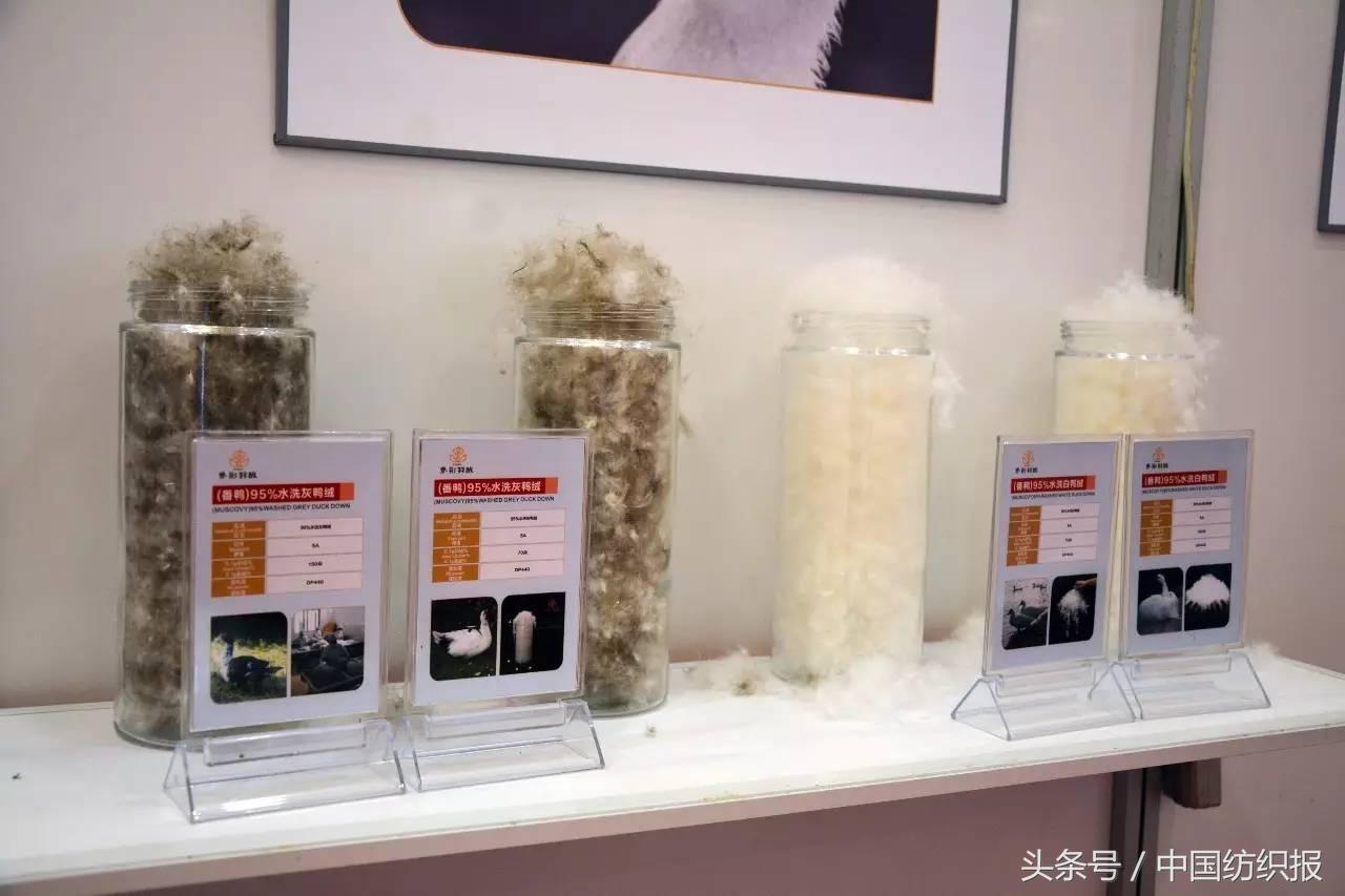 中国的羽绒质量最好的产地,中国羽绒的主要产地