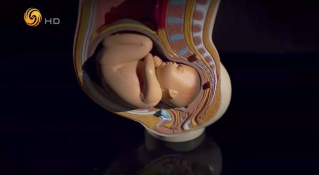 为什么产妇不能选择剖腹产,产妇宫缩疼痛受不了想剖腹产