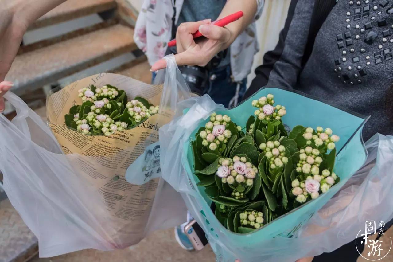 南京的花鸟市场在什么地方,南京夫子庙花鸟鱼虫市场