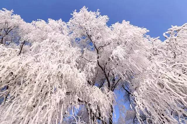 因为一句话恋上一座城,因为一个人恋上一座城