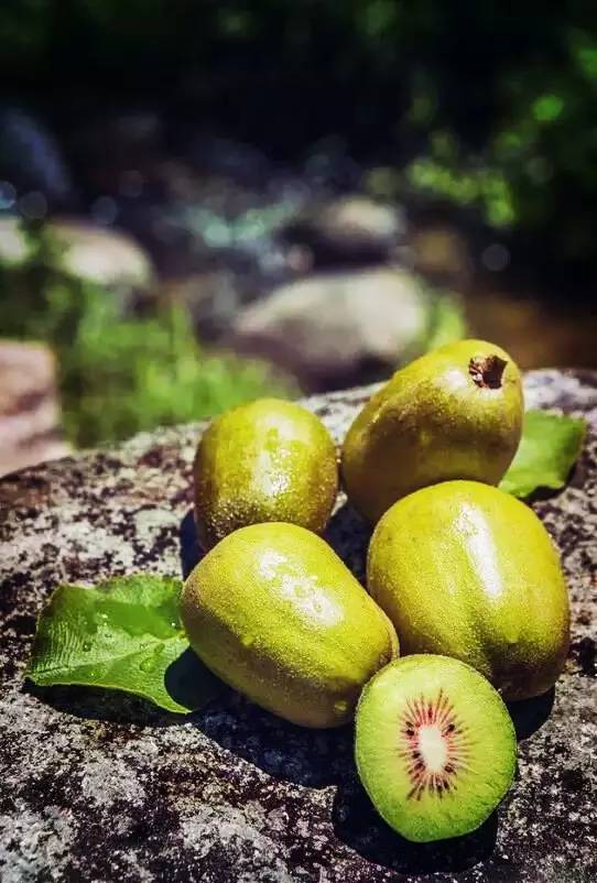 因为一句话恋上一座城,因为一个人恋上一座城