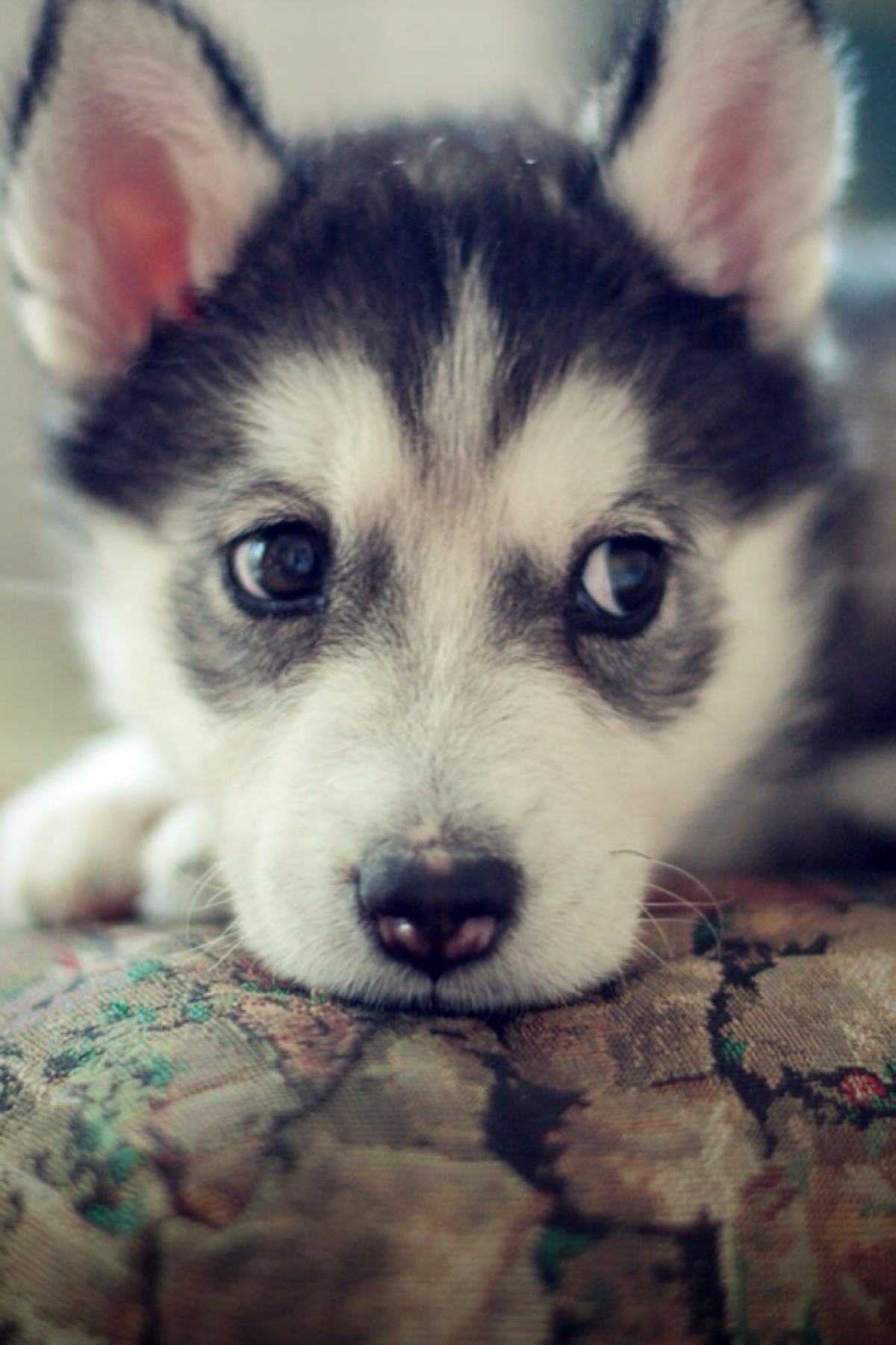 太无聊了怎么办最简单的方法,好无聊该如何充实生活