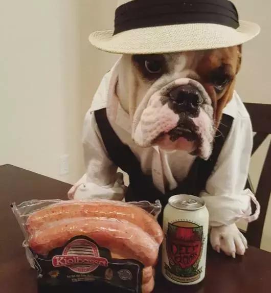 致狗狗的最后一封信,致养狗人士的一封公开信