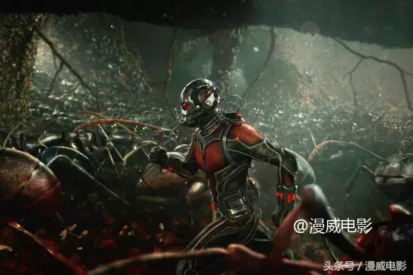 蜘蛛侠返校日彩蛋解读,蜘蛛侠英雄归来返校季