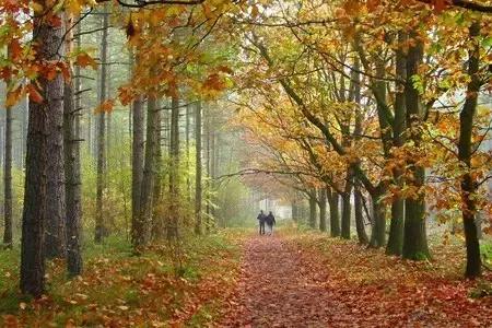 怎么描写30岁左右的女人,三十岁的女人怎么描写