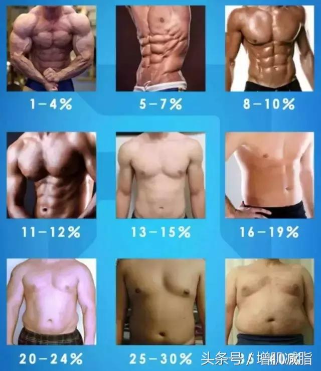 减体脂不掉秤的方法,不胖体脂高怎么减