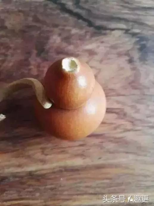 葫芦老掉龙头怎么办,葫芦的龙头快掉了怎么办