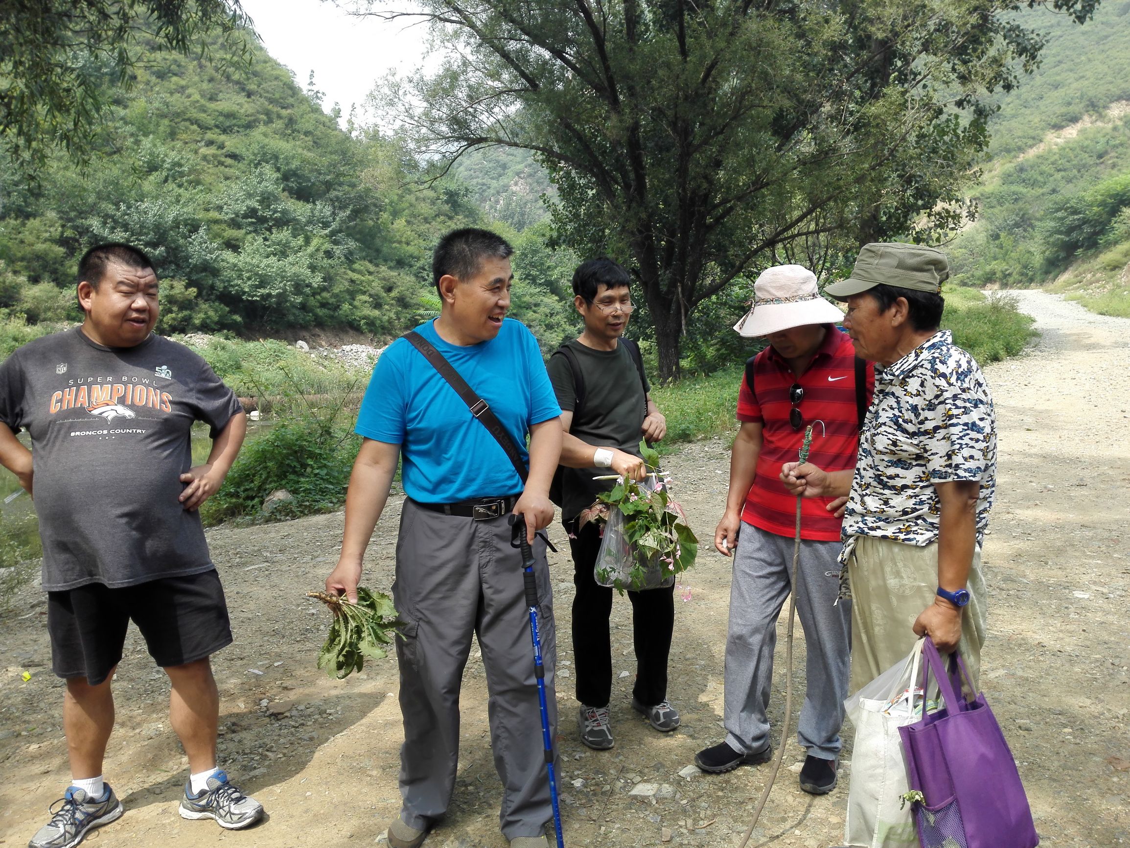 燕京八景之一银山塔林,燕京古八景视频