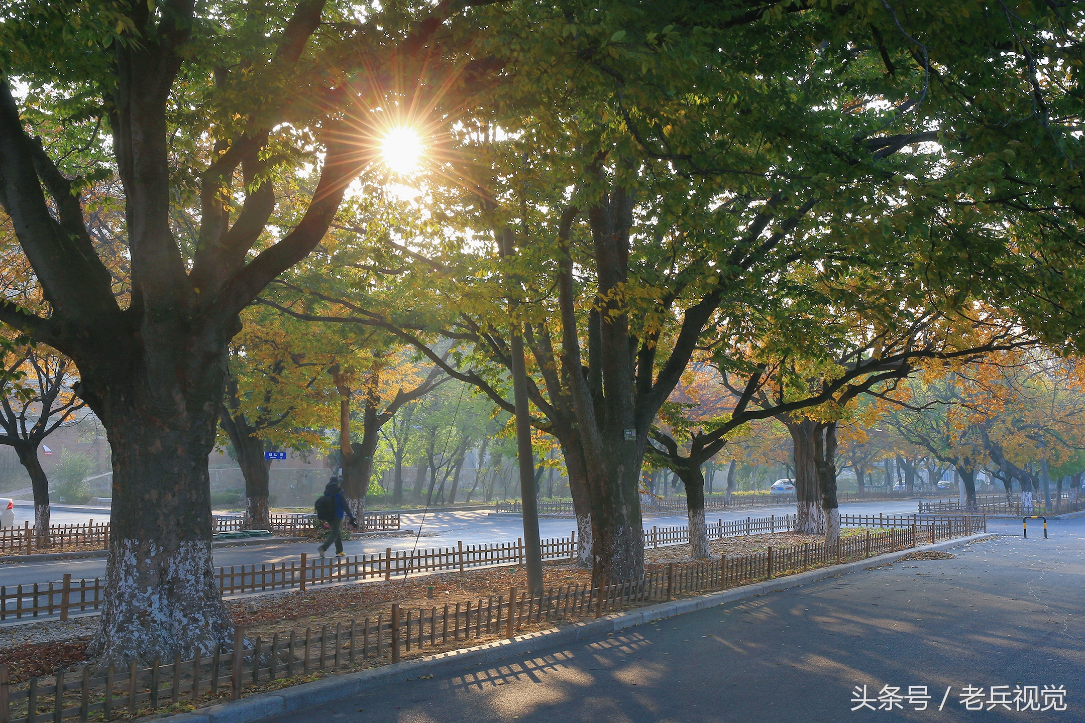 大连的秋天,大连附近秋天值得去的城市