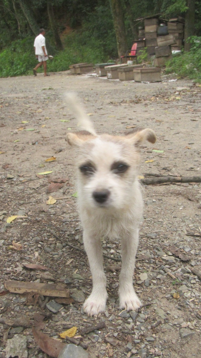 苏州西塘乌镇二日游团从杭州出发,苏州西塘乌镇二日一夜