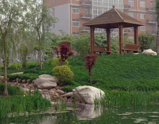 河南省首批办好的24所重点中学,河南百强中学