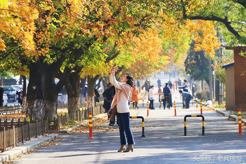 大连的秋天,大连附近秋天值得去的城市