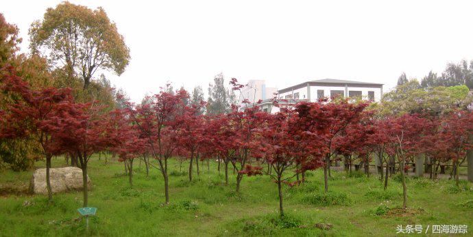 浙江玉环漩门湾国家湿地公园灯光,浙江玉环漩门湾湿地公园拍鸟