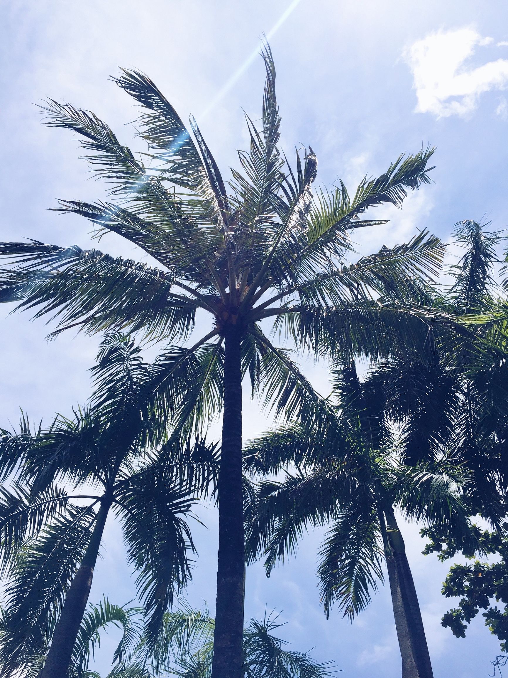 十一月份普吉岛,十一假期去泰国