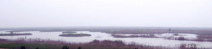 浙江玉环漩门湾国家湿地公园灯光,浙江玉环漩门湾湿地公园拍鸟