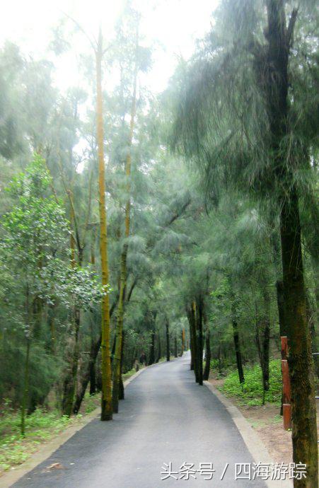 浙江玉环漩门湾国家湿地公园灯光,浙江玉环漩门湾湿地公园拍鸟