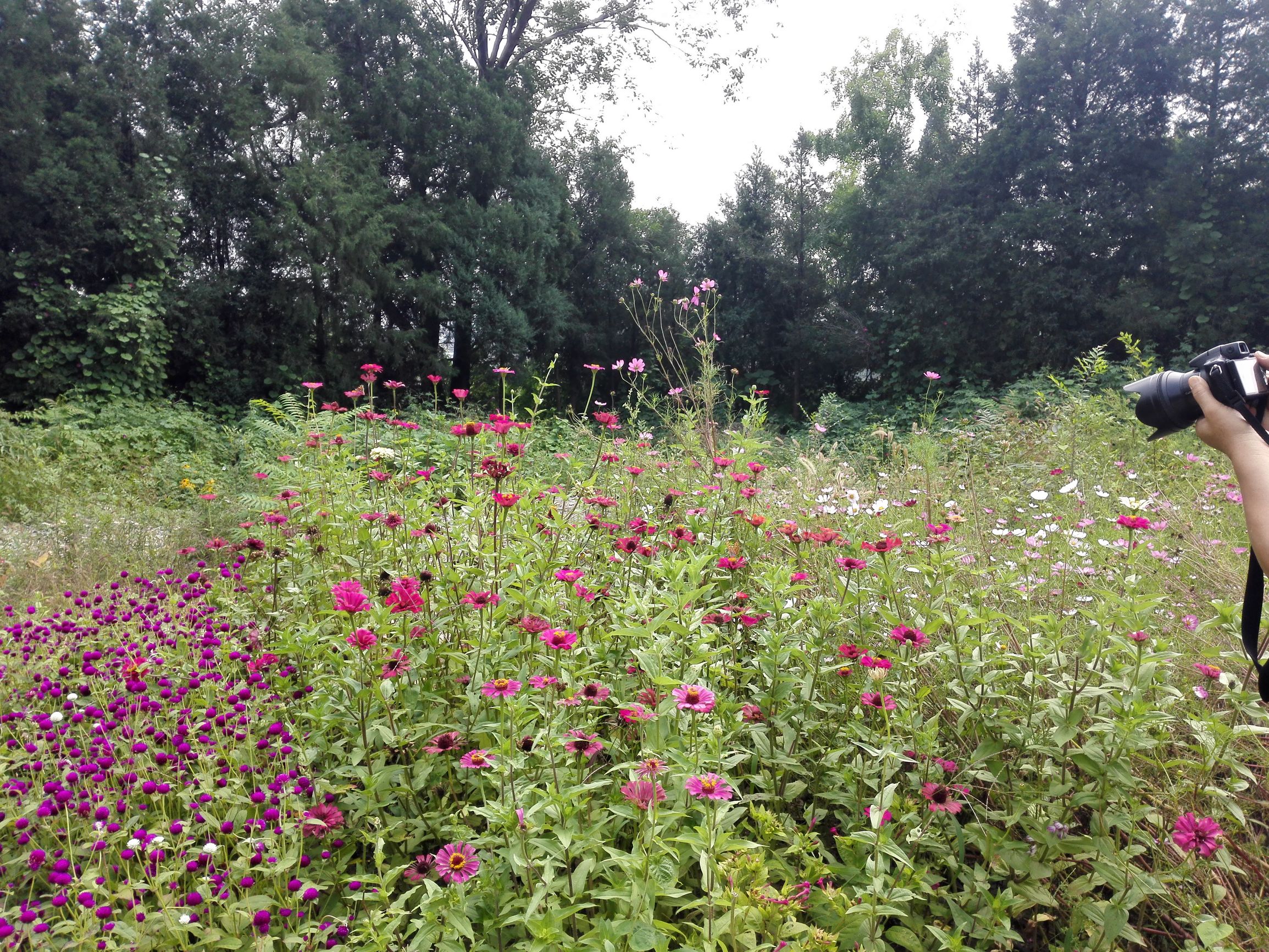 燕京八景玉泉山,燕京八景旅游攻略