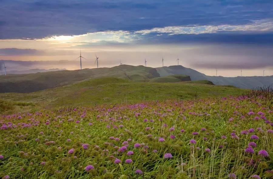 元旦成都出发两天一夜旅游攻略,成都出发三四天旅游推荐国庆