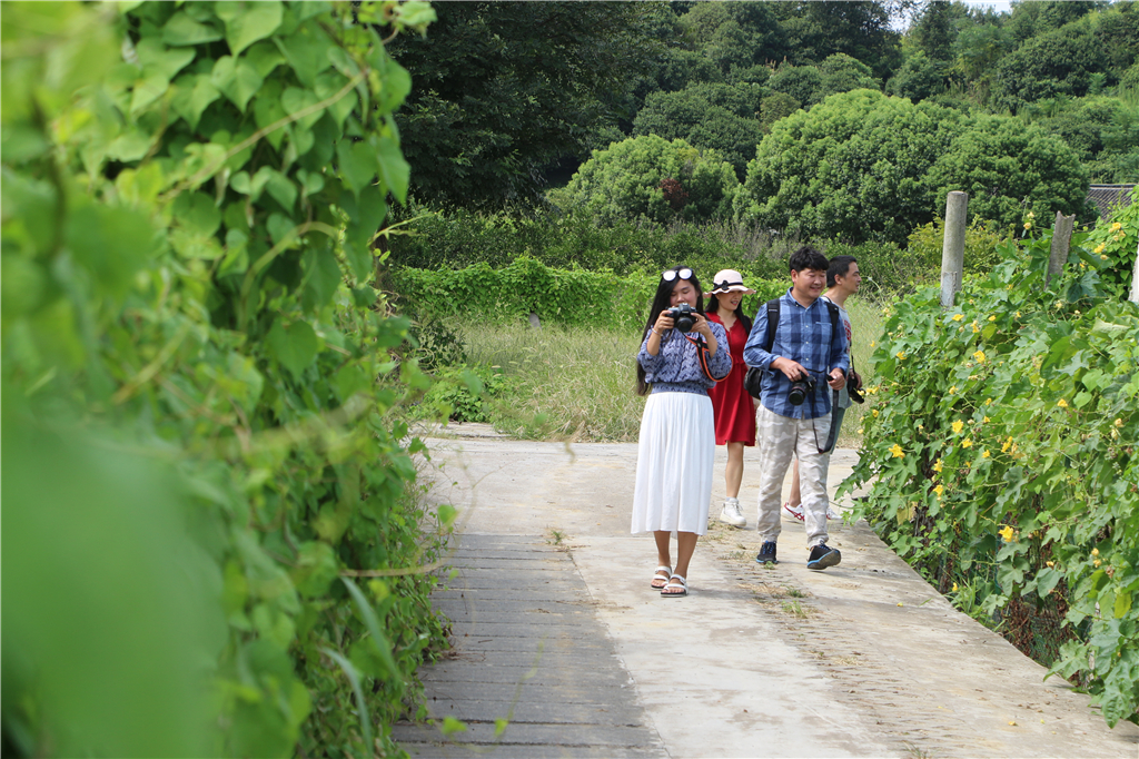 嘉兴南北湖农家乐推荐,嘉兴南北湖农家