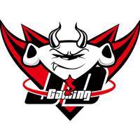 LPL陪练团名单更新：等一个IM古风*男美**