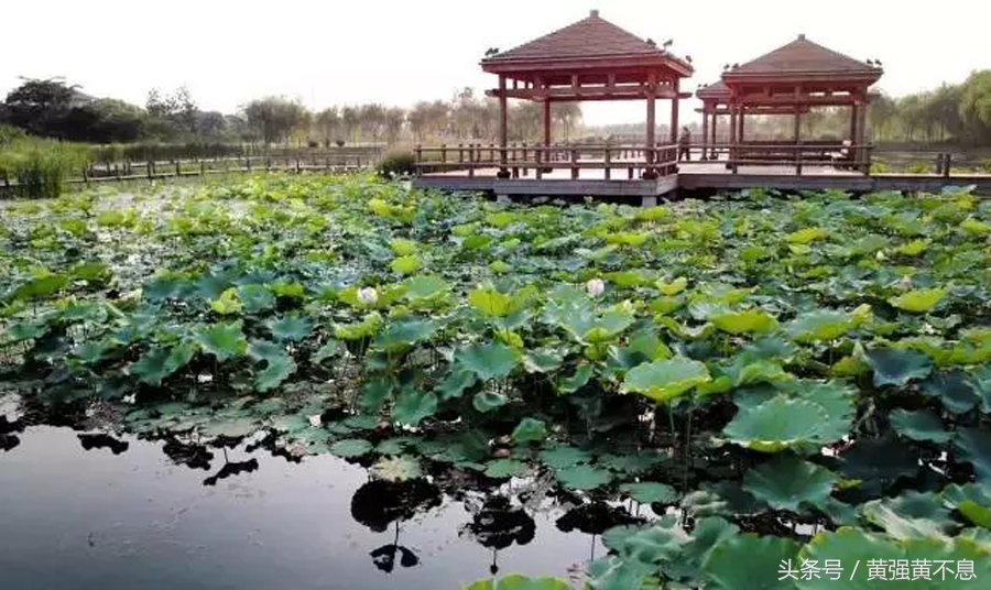 留住文化留住根昆山让身体放松精神栖息的诗意之地