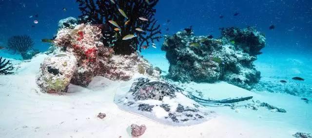 马尔代夫6星性价比,马尔代夫7星度假套餐