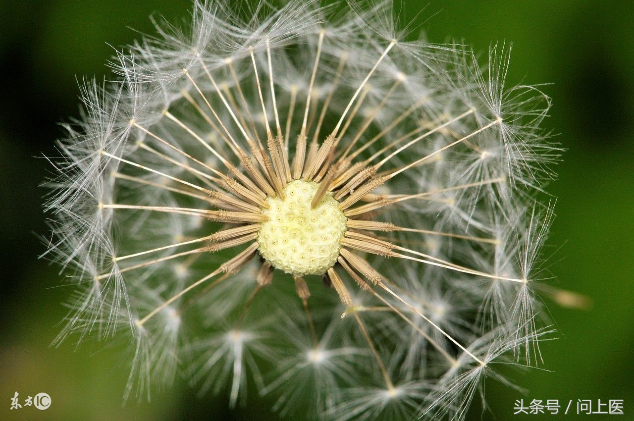 尿蛋白高肾病综合征最快解决方法,高血压肾病尿蛋白3+会出现水肿吗