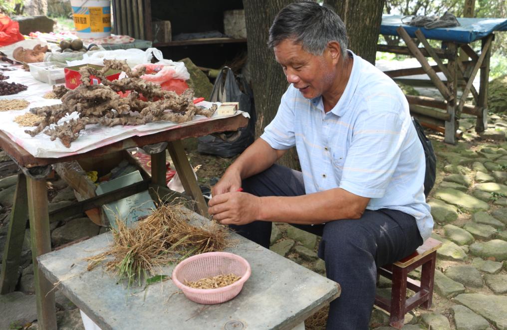 品农家菜肴田园生活,嘉兴南北湖农家乐推荐