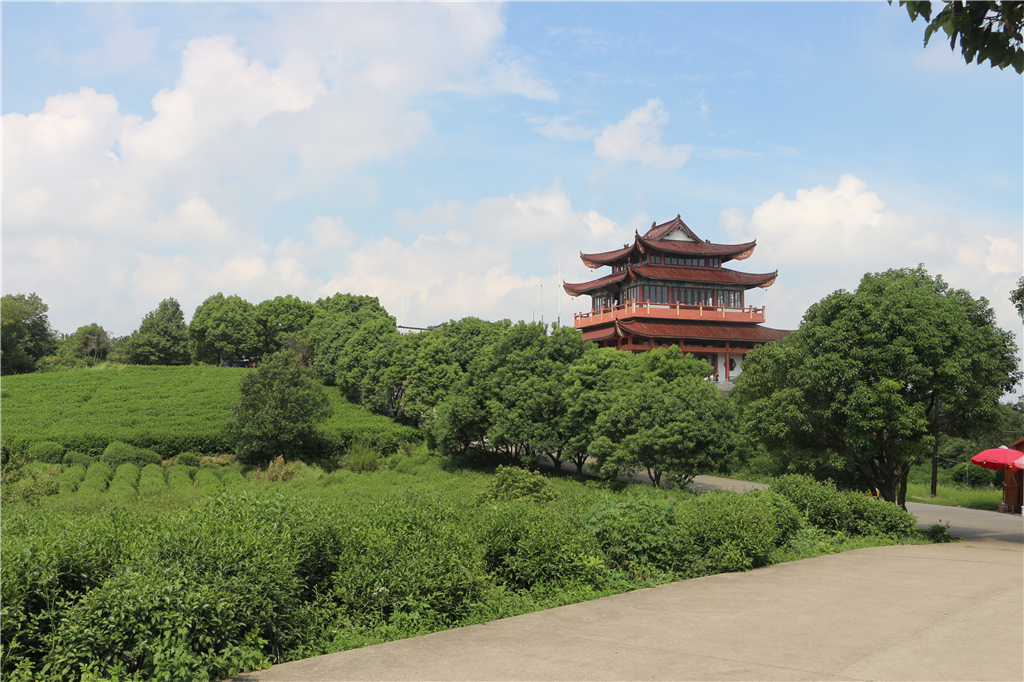 嘉兴南北湖农家乐推荐,嘉兴南北湖农家