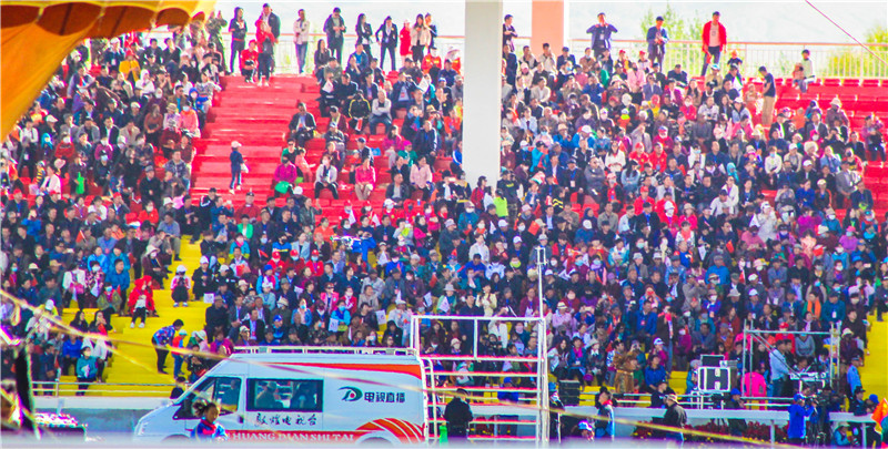 肃北七彩花海,肃北百亩花海在哪里