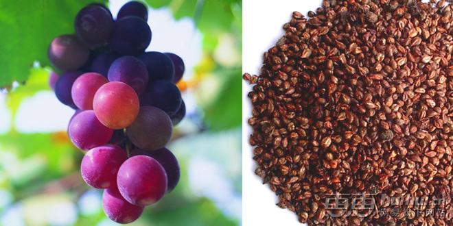 姑娘们都要清醒,男人们喜欢的是你不化妆也似芙蓉的样子!