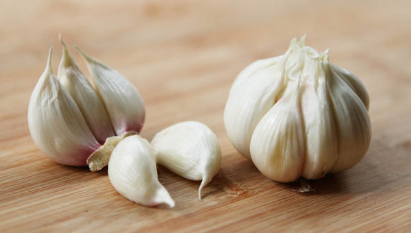 米和面有虫子还能吃吗,米和面里的虫子