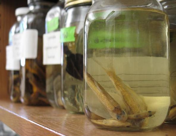 五招识别泡过“尸药”的毒海鲜，这些我们在厦门竟然常常吃！