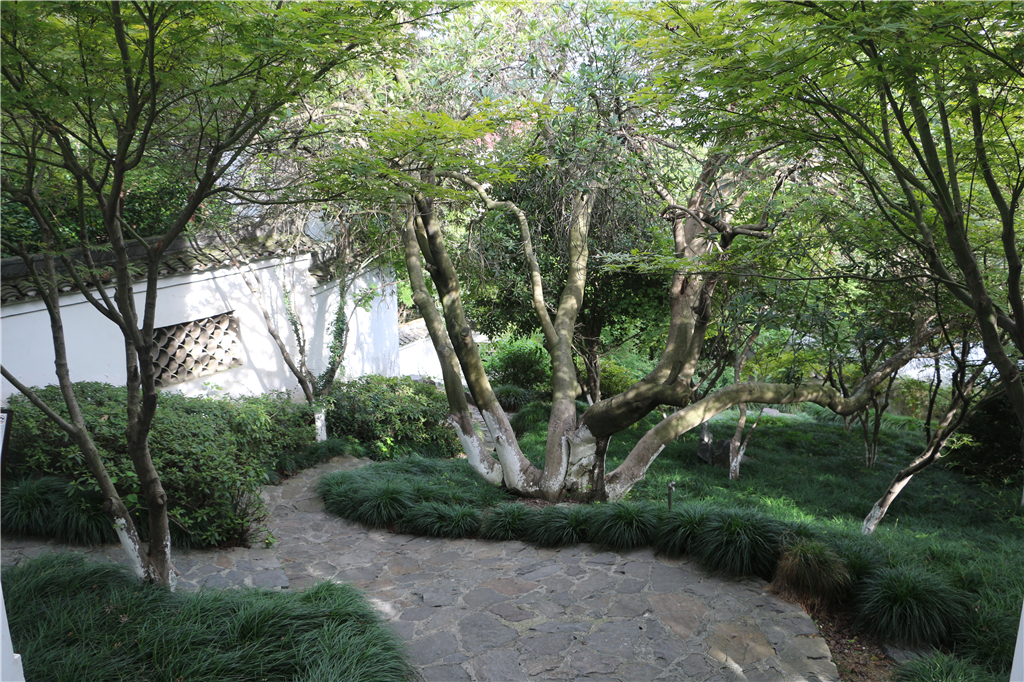 嘉兴南北湖农家乐推荐,嘉兴南北湖农家