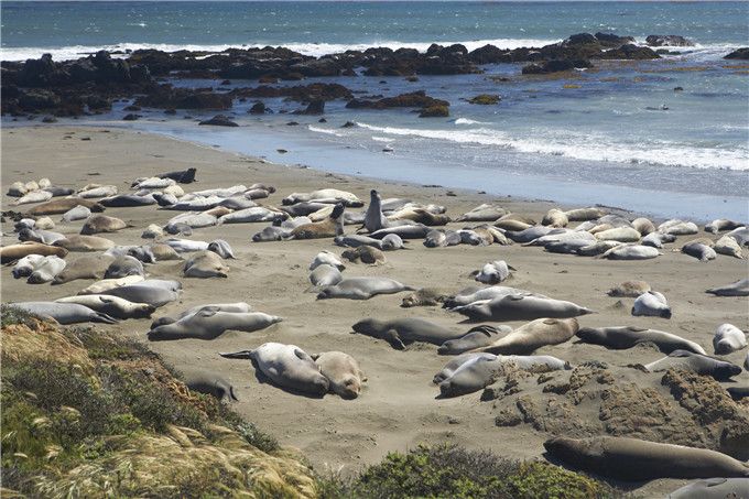 加州1号公路自驾路线图片,加州一号公路攻略从南往北