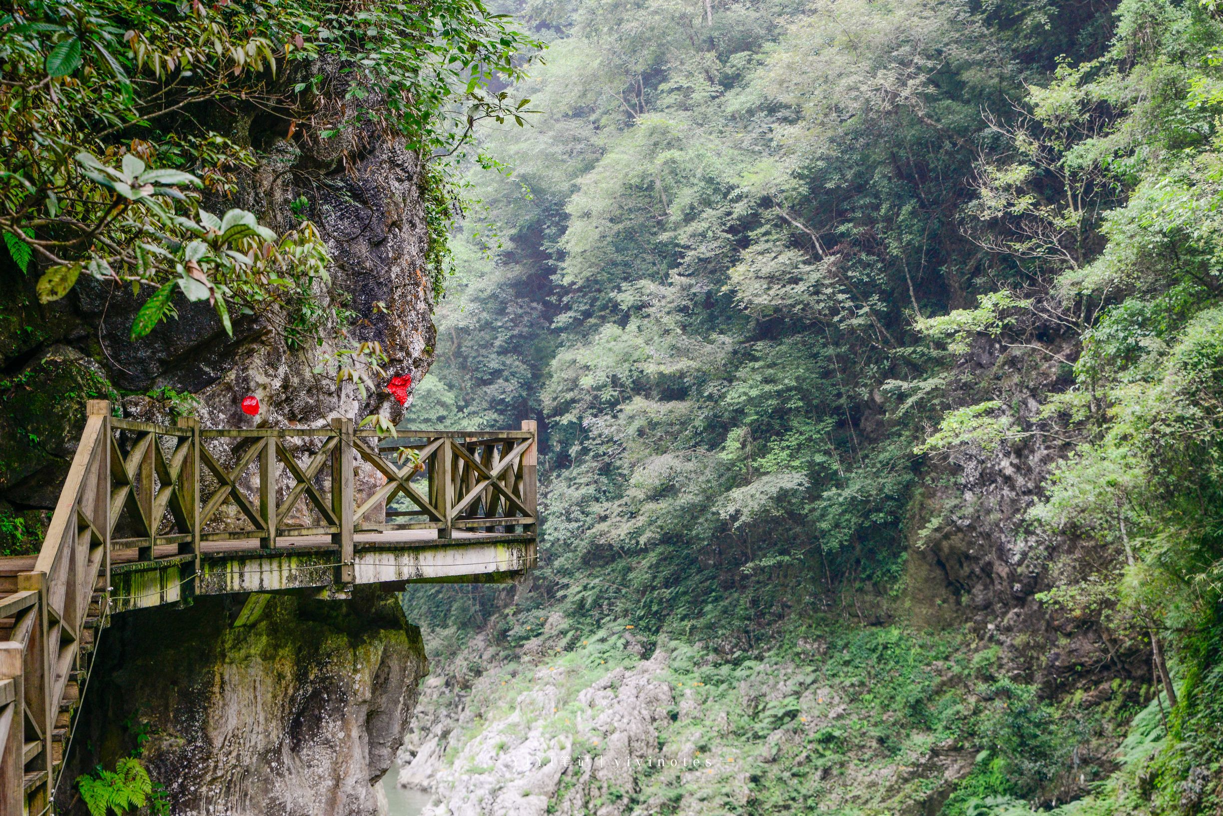 贵阳周边悬崖栈道景区介绍,贵州大峡谷风景区