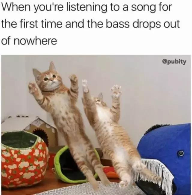 能震掉*裤底**的车载低音炮，到底有多强？