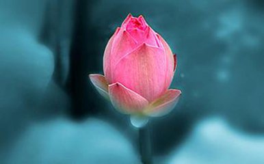 鍙戠幇濡诲瓙鏈夊瀛曚箣鍚庡仛浜插瓙閴村畾,渚嬪亣鏈熼棿浜插瓙閴村畾