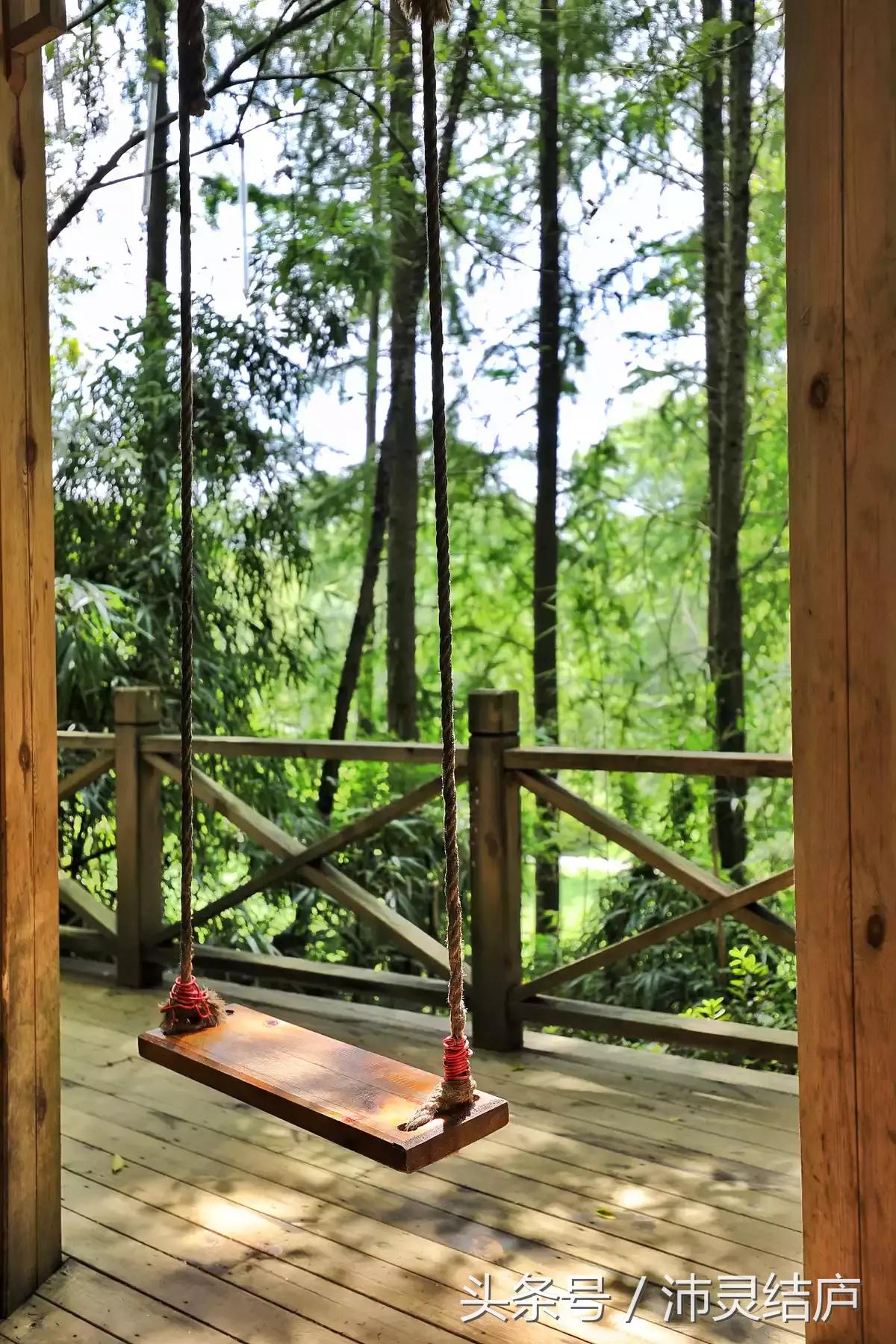 如果你只有一天的时间去乐山,如果你只有两天时间游南京