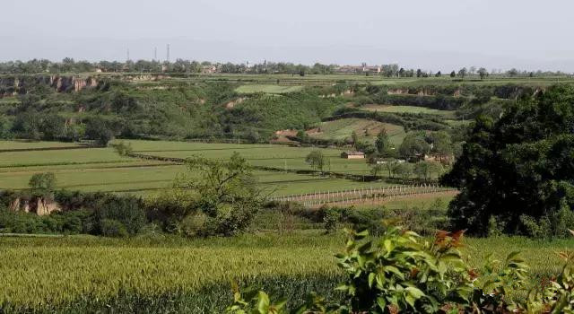 杨凌蘸水面高凤香,杨陵杨凌