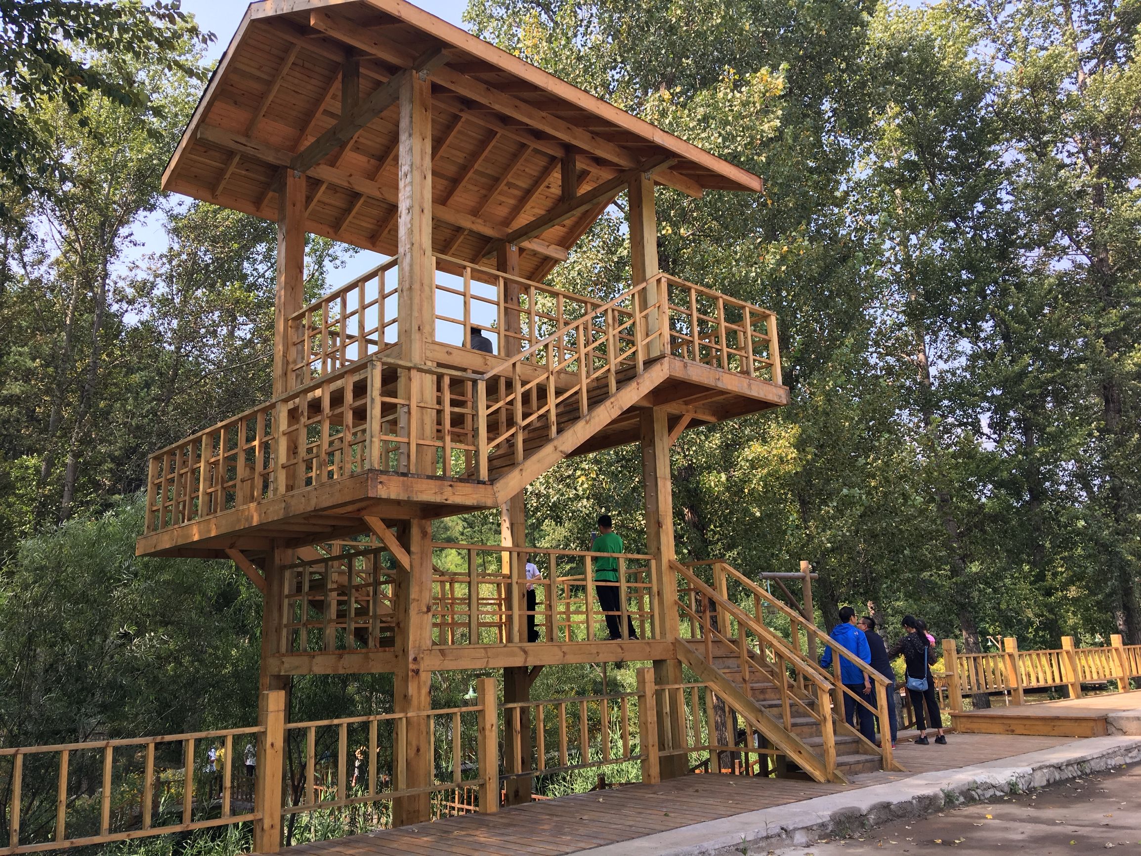 厉害了这个四线小城,厉害了滕州有这么一个小村庄