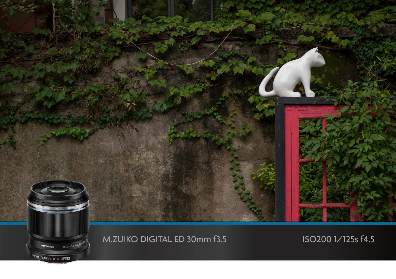 奥林巴斯微距镜头,奥林巴斯40-150可以拍微距吗