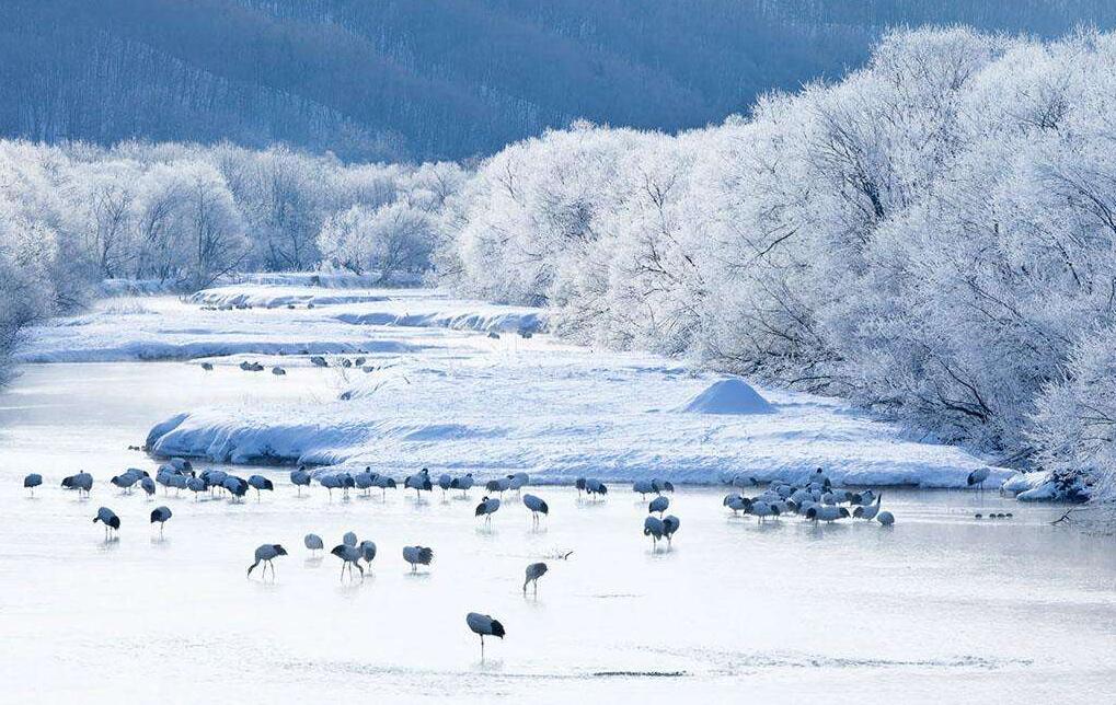 十一躲开人挤人，来一场高端小众真正的旅行！
