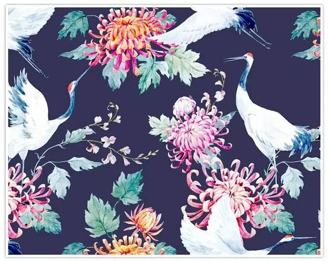 初学者必备高颜值瑜伽垫分享,适合运动的瑜伽垫