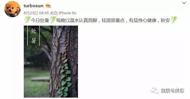 保养女性贴,保养贴有用吗