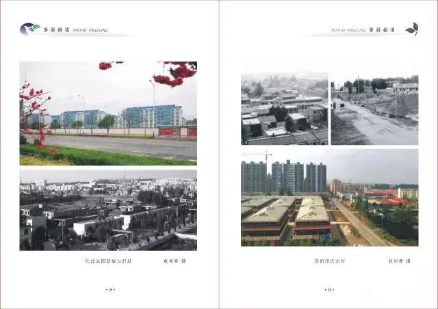 杨凌蘸水面高凤香,杨陵杨凌